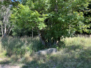 02_louka-za-Belou_puvodni