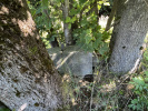 03_louka-za-Belou_puvodni