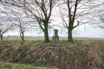 CHOL_01