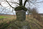 CHOL_02