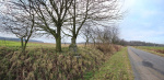 CHOL_04