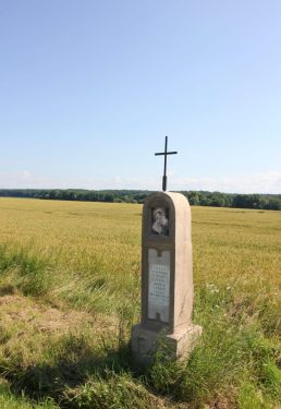 IMG_3604-scaled