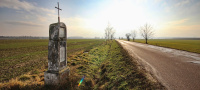 CHOL_01