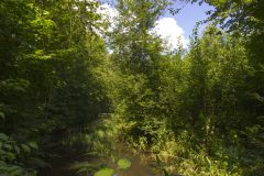 Litovelské Pomoraví
