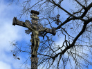 02_Mladec_po_oprave